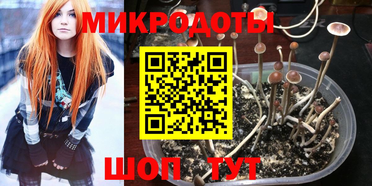 Псилоцибиновые грибы Magic Shrooms  Вход с VPN  Рославль 