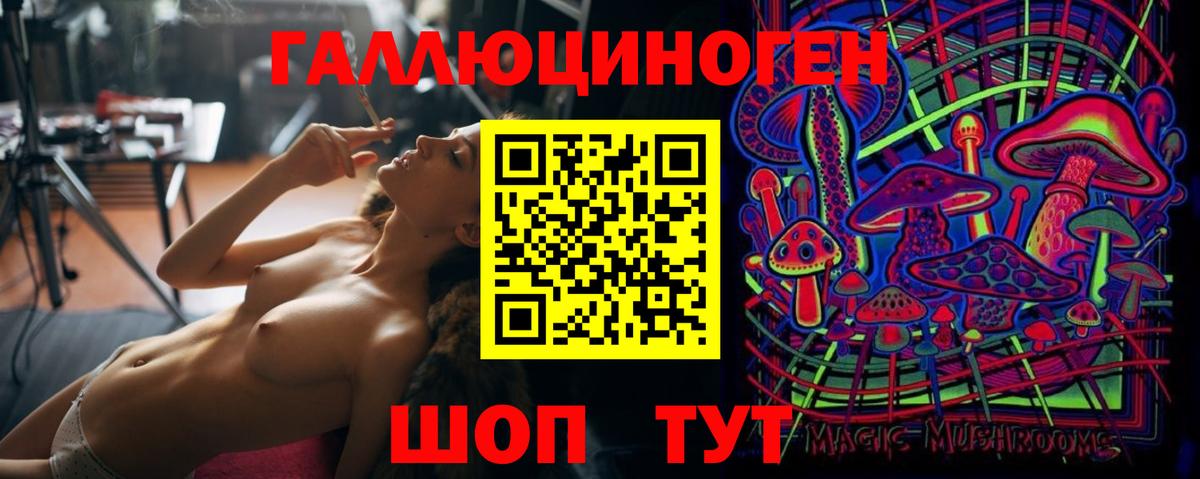 Псилоцибиновые грибы Cubensis Рославль